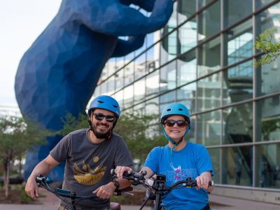 Colorado Blue Bear